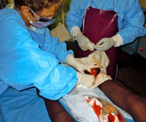 I should have become a surgeon